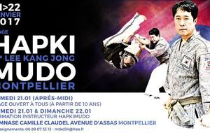 Stage hapki mudo 