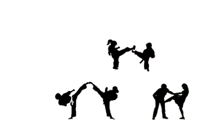 Stage Enfant et Adultes Self defense/TKD