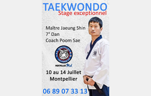 Stage Maître Jaeung SHIN