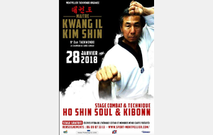 STAGE GRATUIT COMBAT &amp; TECHNIQUE - EXPERT CORÉEN - MONTPELLIER  