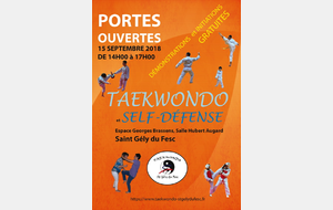 Stage avec Laurent : Entrainement et découverte du Tae Kwon Do