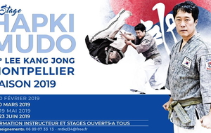 Hapkimudo avec Maître Lee kang Jong