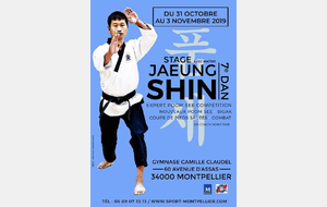 Stage Maître Jaesung Shin au MTKD