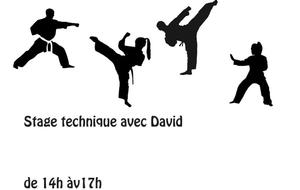 Stage Technique pour le cours adulte avec David