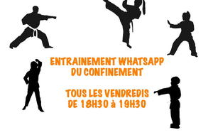 Entrainement video Adultes