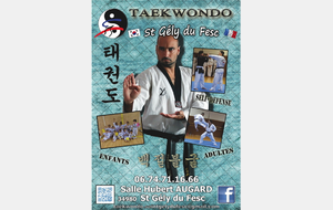 début de saison Taekwondo