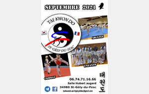 Début de saison Taekwondo