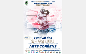 Festival des Arts Coréens