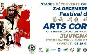 Festival des Arts Coréens